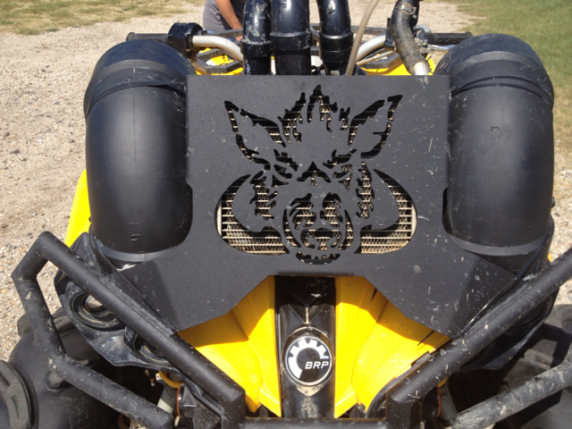 2010 Smart CanAm Renegade XE CREW CAB SWB