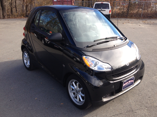 2009 Smart fortwo SXT 4x4
