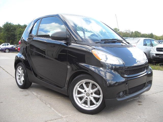2009 Smart fortwo SXT 4x4