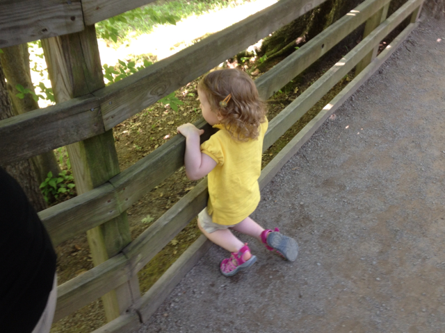 2005 Subaru Forester 1990 Chevrolet 25