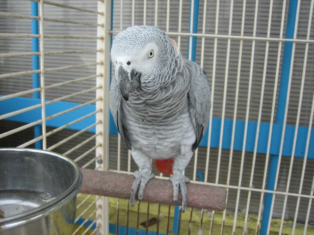 2001 Subaru Outback SW2