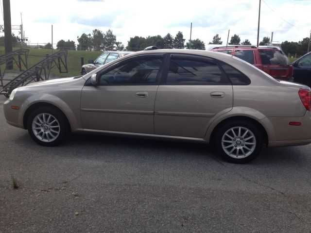 2004 Suzuki Forenza Elk Conversion Van
