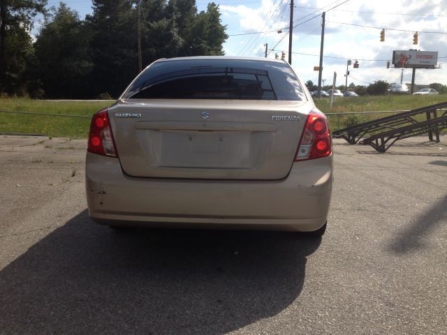 2004 Suzuki Forenza Elk Conversion Van