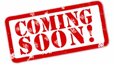 2004 Toyota Land Cruiser T6 Sport Utility 4D