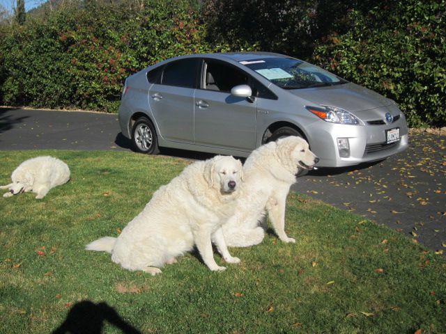2010 Toyota Prius Premier - ONE Ownerloaded