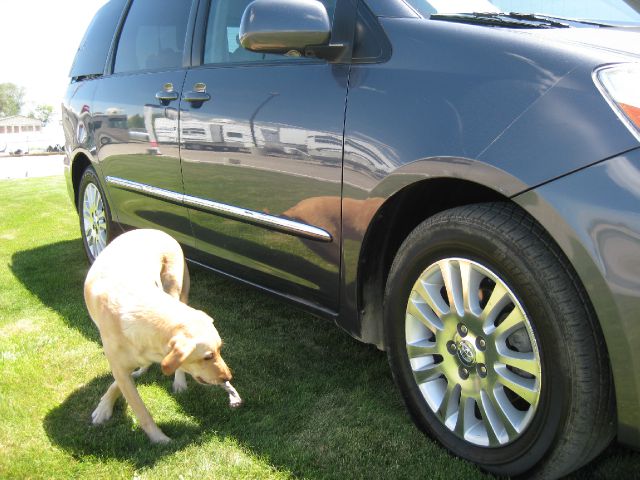 2008 Toyota Sienna SR5 Sport Edition
