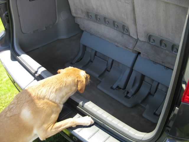 2008 Toyota Sienna SR5 Sport Edition