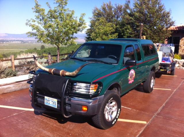 1998 Toyota Tacoma AMX