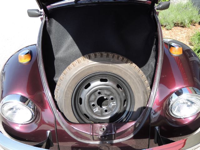 1969 Volkswagen Beetle Titanium