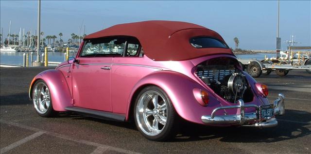 1970 Volkswagen Cabriolet LT Ducks Unlimited