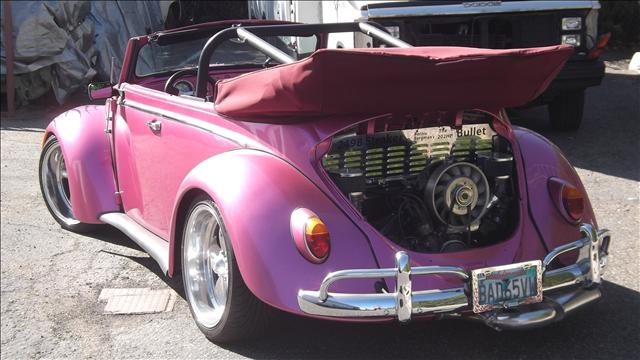 1970 Volkswagen Cabriolet LT Ducks Unlimited