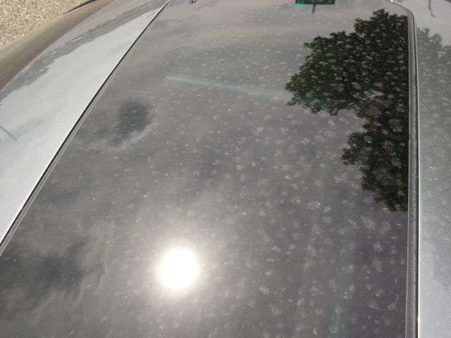 2005 Volkswagen New Beetle Ml320 CDI