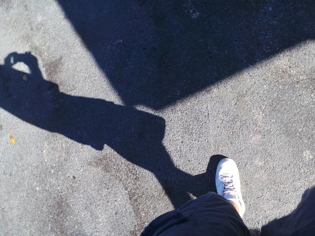 2006 Volkswagen New Beetle Limited Wagon