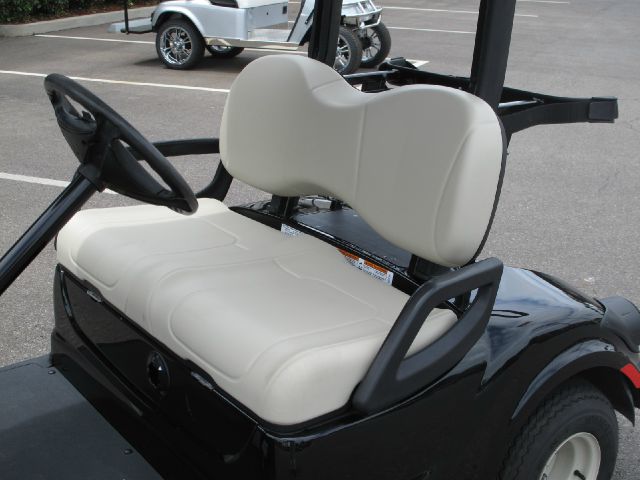 2009 YAMAHA The Drive PTV Reg Cab 111.2 Inch WB 2WD LS Truck