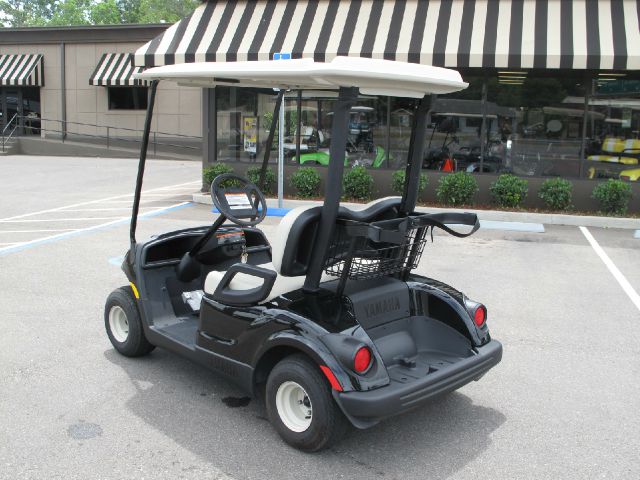 2009 YAMAHA The Drive PTV Reg Cab 111.2 Inch WB 2WD LS Truck