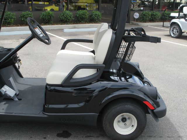 2009 YAMAHA The Drive PTV Reg Cab 111.2 Inch WB 2WD LS Truck