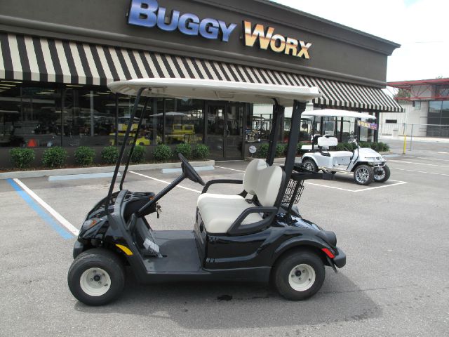 2009 YAMAHA The Drive PTV Reg Cab 111.2 Inch WB 2WD LS Truck