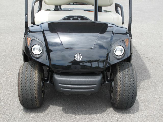 2009 YAMAHA The Drive PTV Reg Cab 111.2 Inch WB 2WD LS Truck