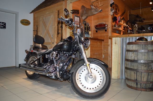 2009 Harley Davidson Fat Boy Unknown